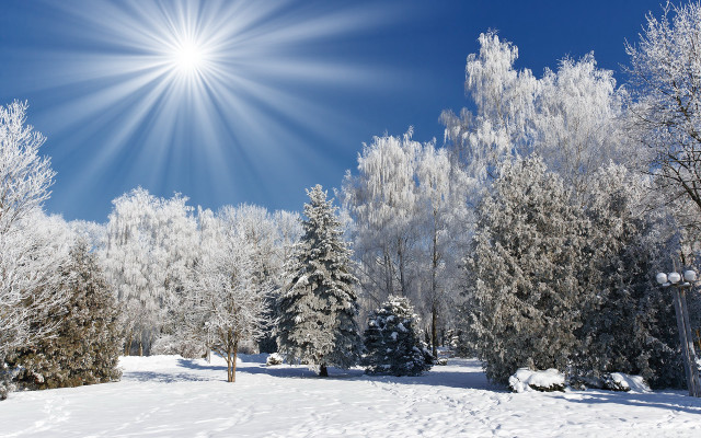 Sunny winter day snow covered #2 free wallpaper - medium preview image