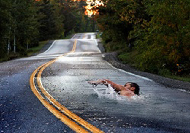 Man swimming road trees background free wallpaper - medium preview image