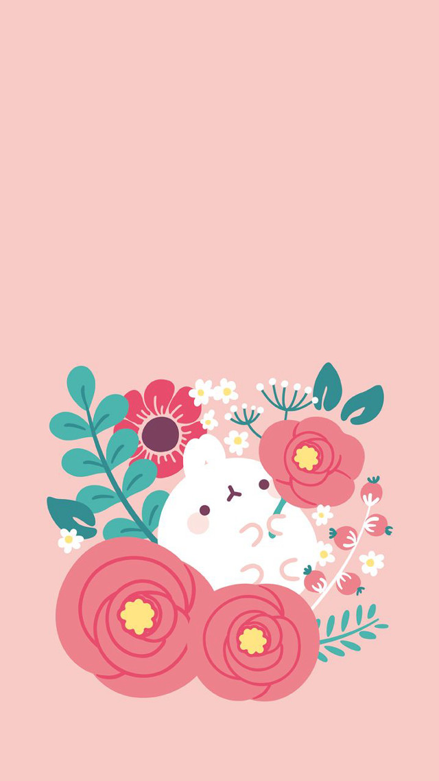 Pink background white cat flowers free wallpaper - medium preview image