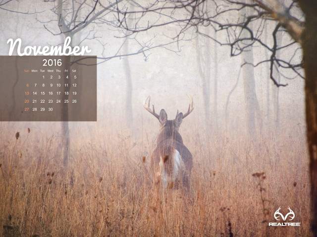 Calendar deer field grass trees free wallpaper - medium preview image