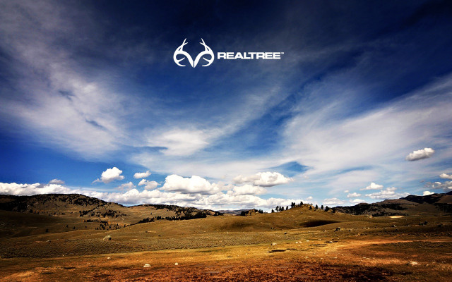 Beautiful sky clouds logo environmental free wallpaper - medium preview image