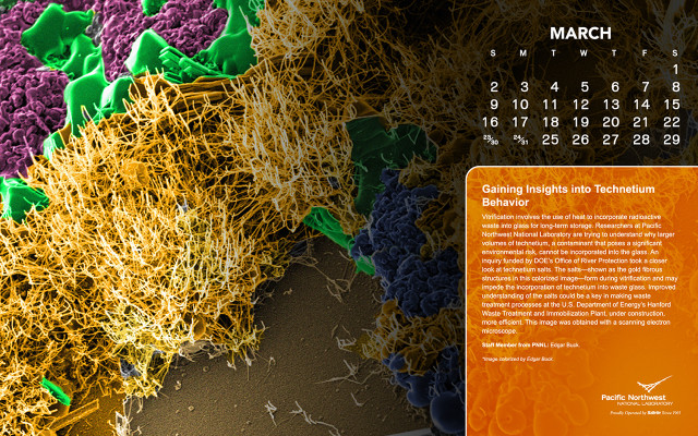 Calendar sprouts colored cover description free wallpaper - medium preview image