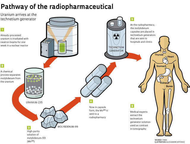 Radiopharmaceutical pathway diagram human body free wallpaper - medium preview image