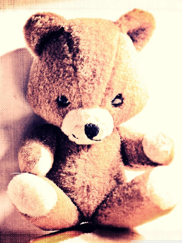 Teddy bear bed pillow teddy free wallpaper - medium preview image