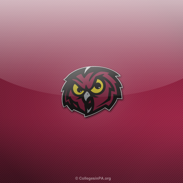 Red black owl yellow eyes free wallpaper - medium preview image