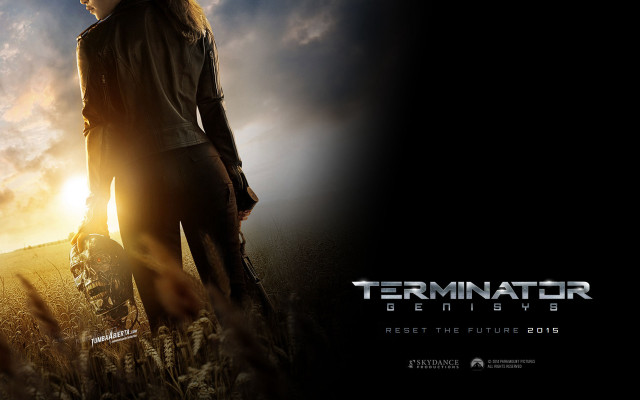 Woman field gun terminator sunset free wallpaper - medium preview image
