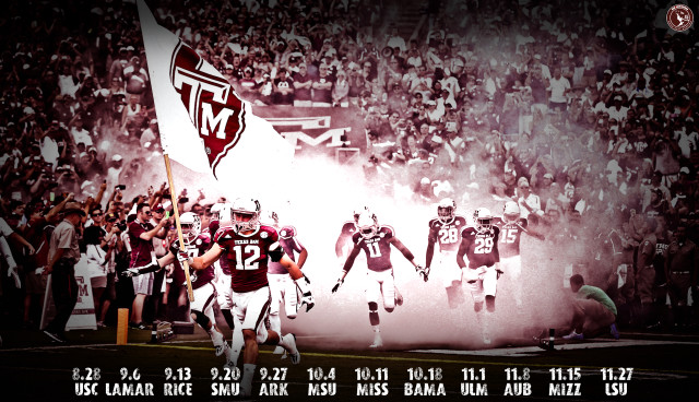 Football players walking field flag free wallpaper - medium preview image