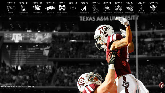 Football players standing field fans free wallpaper - medium preview image
