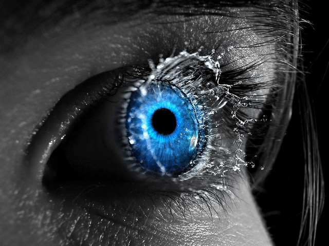 Blue eye closeup black white free wallpaper - medium preview image