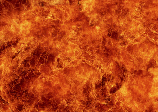 Fiery black bird autumn flames free wallpaper - medium preview image