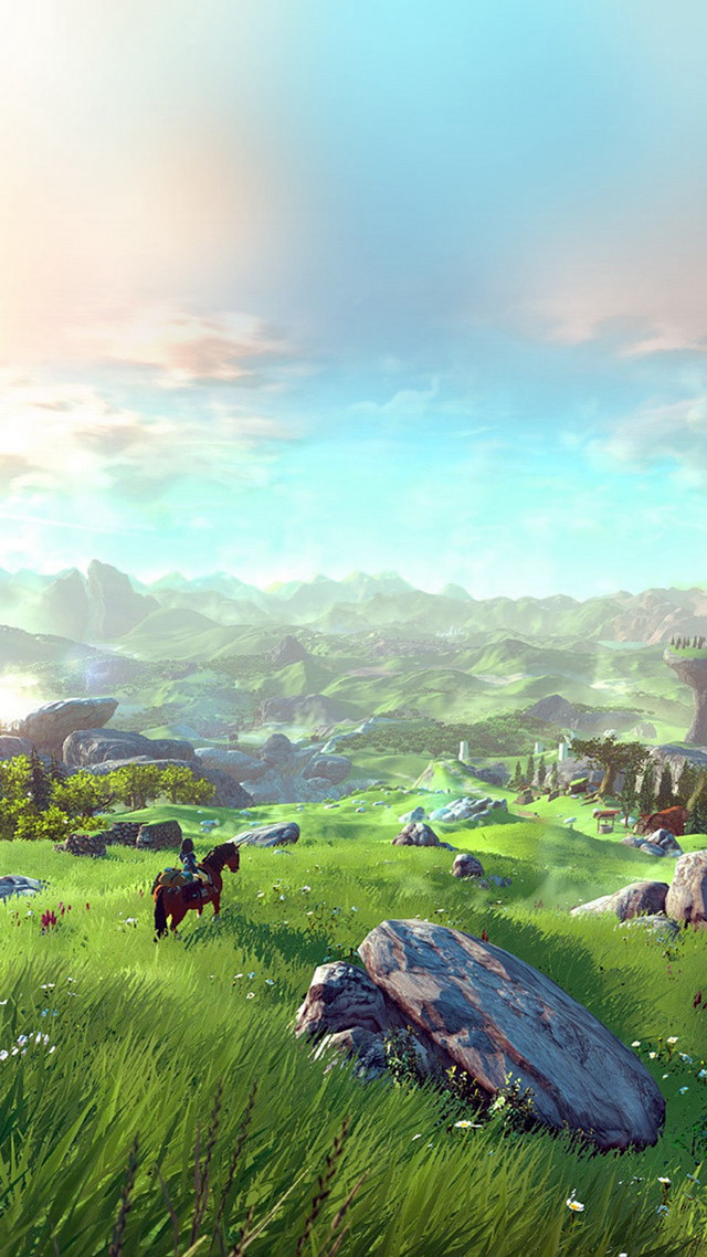 Green field rocks horse distance free wallpaper - medium preview image