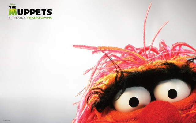 Stuffed animal big eyes red free wallpaper - medium preview image