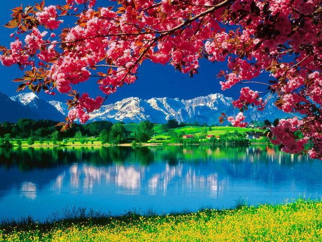 Mountain lake autumn flowers impressionist free wallpaper - medium preview image