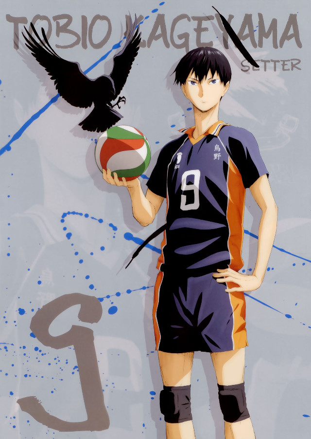 Man holding ball bird arm free wallpaper - medium preview image