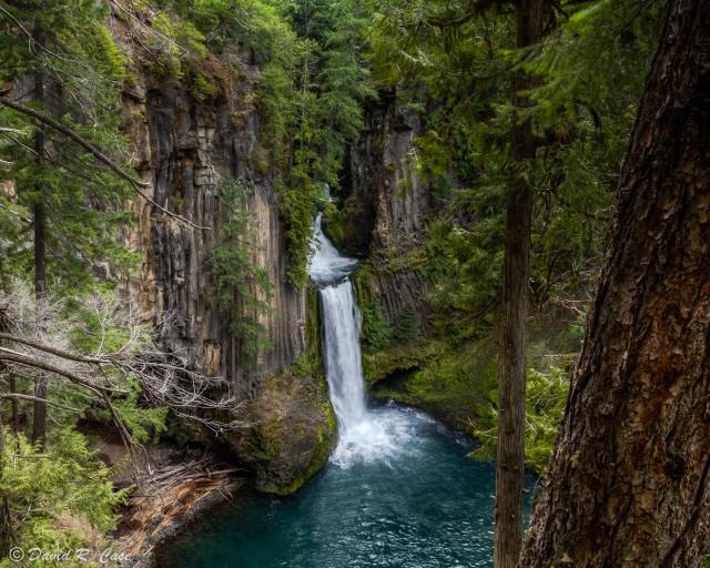 Waterfall forest river trees nature #2 free wallpaper - medium preview image