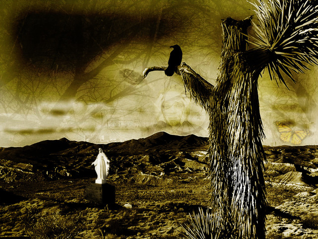 Bird perched tree desert landscape free wallpaper - medium preview image