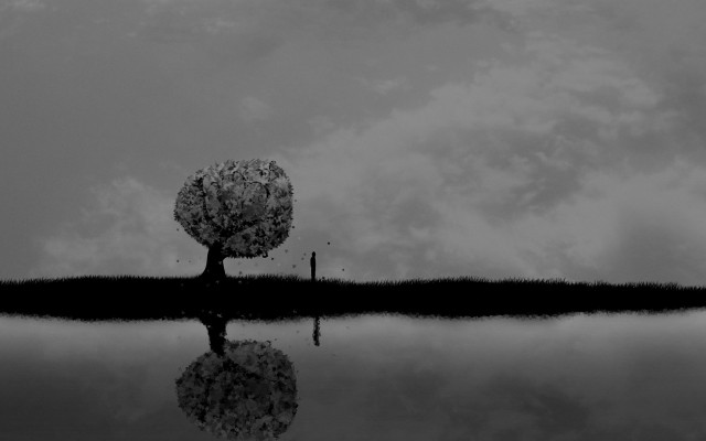 Tree reflection lake cloudy sky free wallpaper - medium preview image