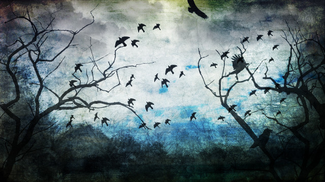 Flock birds flying tree forest free wallpaper - medium preview image
