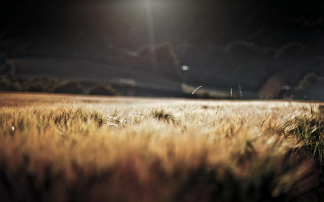 Field light dark sky clouds free wallpaper - medium preview image