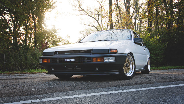 White car sunlit roadside trees free wallpaper - medium preview image