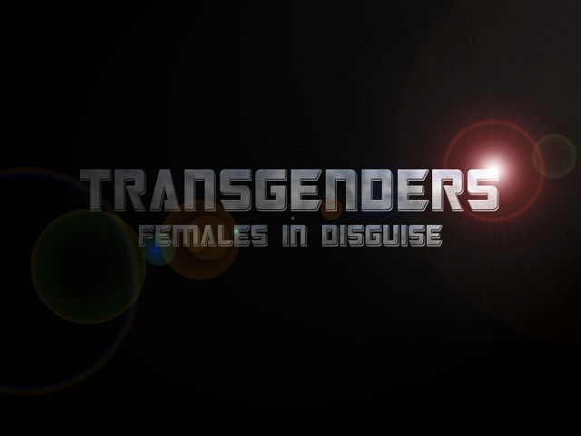Transcenders silver light hat moon free wallpaper - medium preview image