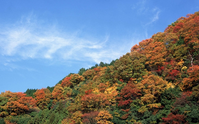 Hillside trees blue sky clouds free wallpaper - medium preview image