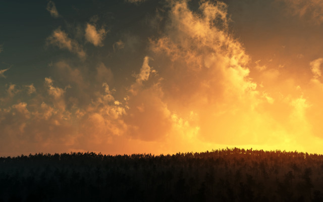 Plane flying forest cloudy sky free wallpaper - medium preview image