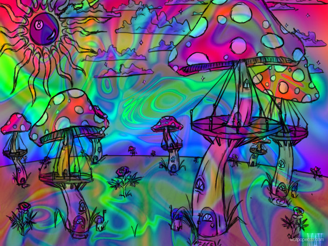 Psychedelic mushrooms sunflowers rainbow sky free wallpaper - medium preview image