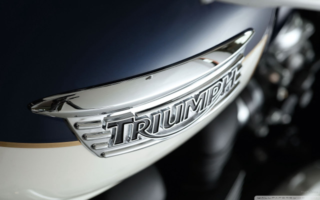 Motorcycle closeup triumph emblem black free wallpaper - medium preview image