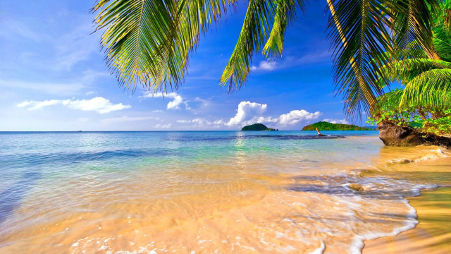 Beach palm tree island blue free wallpaper - medium preview image