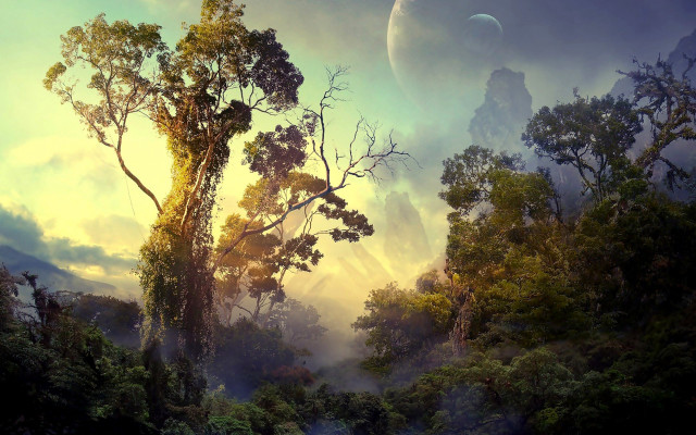Forest mountains lake moon sky free wallpaper - medium preview image
