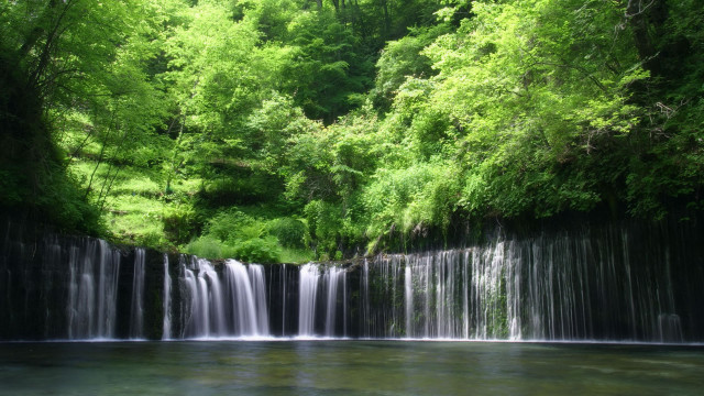 Waterfall forest river trees lush free wallpaper - medium preview image