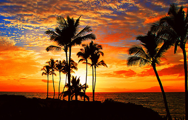 Sunset palm trees beach boat free wallpaper - medium preview image
