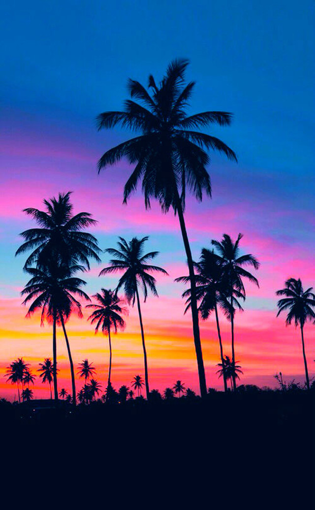 Sunset palm trees blue pink free wallpaper - medium preview image