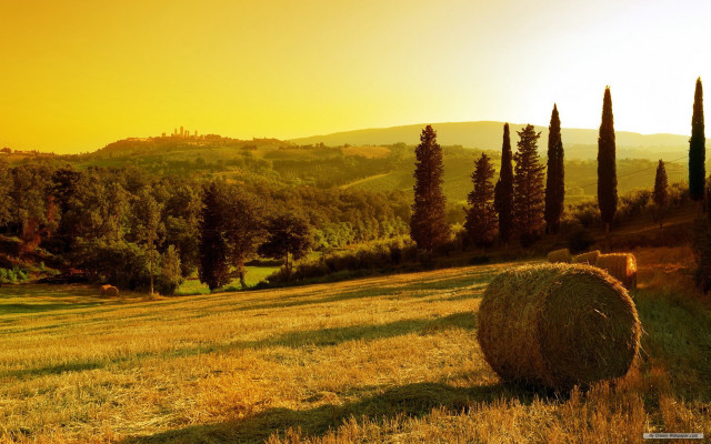 Field hay bale sunset trees free wallpaper - medium preview image