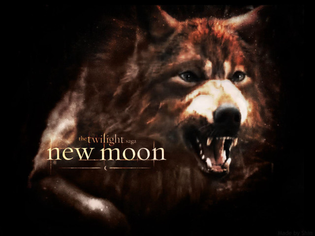 Wolf mouth open teeth bared free wallpaper - medium preview image