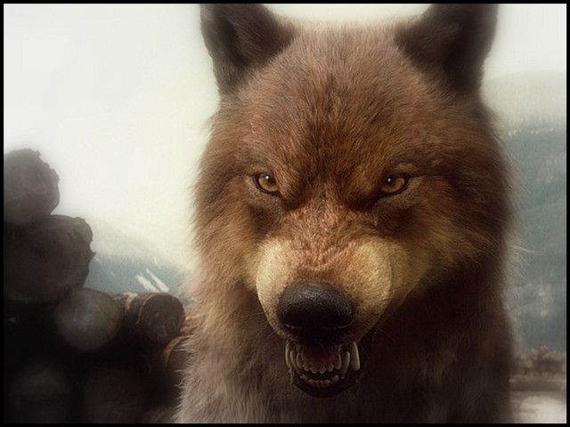 Wolf grin mountain snow background free wallpaper - medium preview image