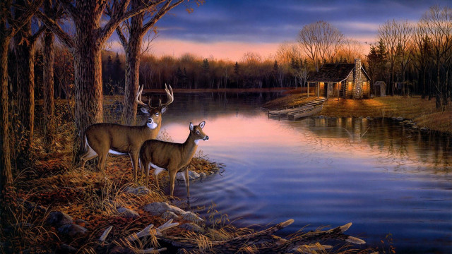 Deer lake sunset house boat free wallpaper - medium preview image