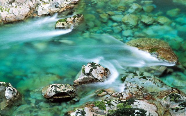 River flowing lush forest rocks #2 free wallpaper - medium preview image