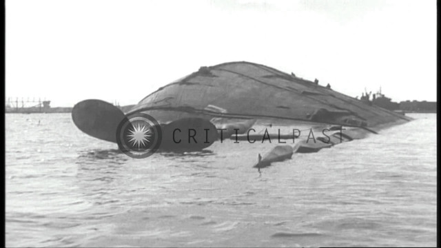Large boat water bird side free wallpaper - medium preview image