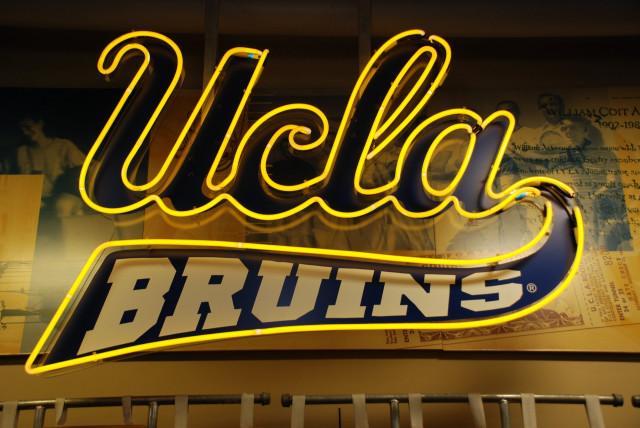 Neon sign viola bruins wall free wallpaper - medium preview image