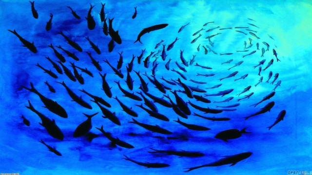 School of fish swimming ocean #2 free wallpaper - medium preview image