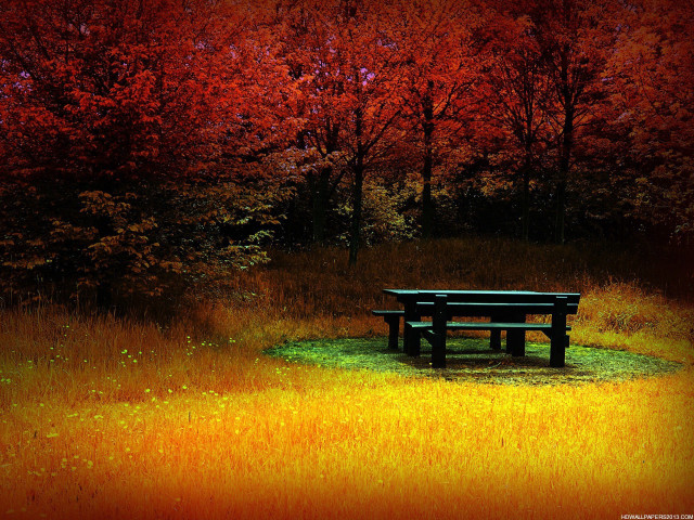 Bench field trees red sky #2 free wallpaper - medium preview image