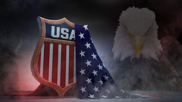 Bald eagle american flag shield free wallpaper - medium preview image