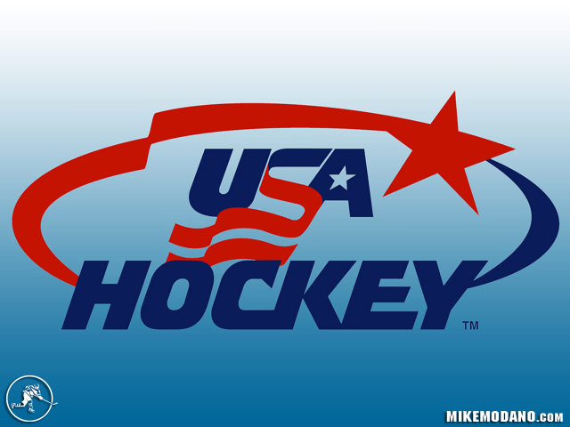 Usa hockey team logo png free wallpaper - medium preview image