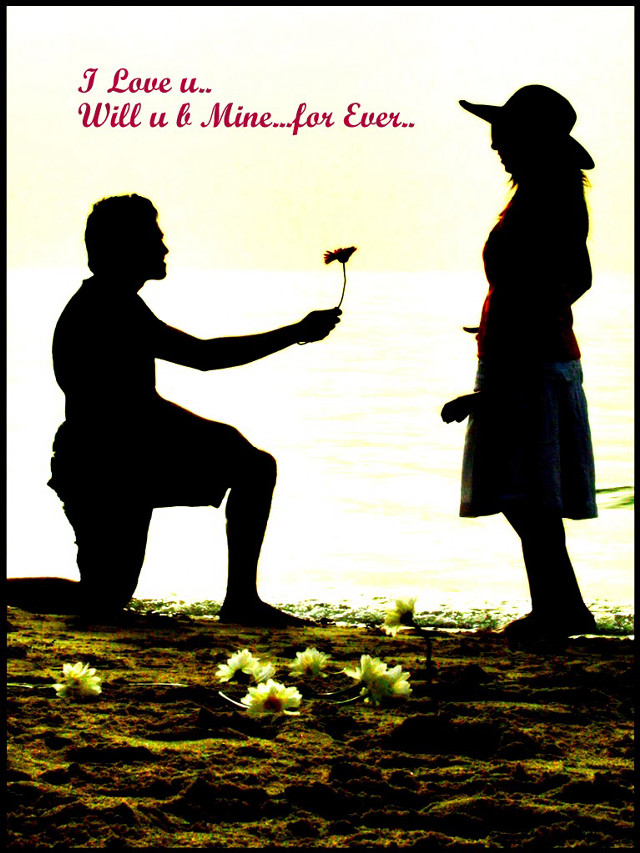 Man kneeling woman flower message free wallpaper - medium preview image