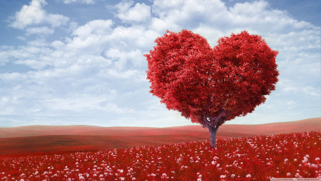 Heart shaped tree field flowers #5 free wallpaper - medium preview image