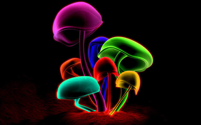 Glowing mushrooms dark background red free wallpaper - medium preview image