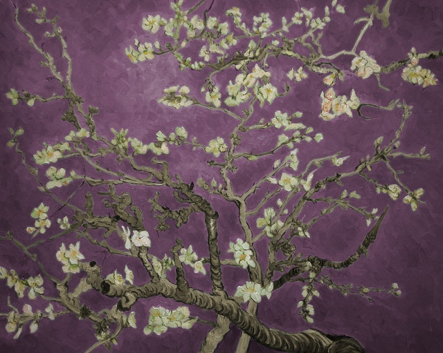 White flowers purple background plant free wallpaper - medium preview image