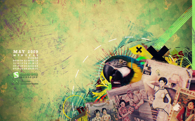 Collage bird green background calendar #2 free wallpaper - medium preview image